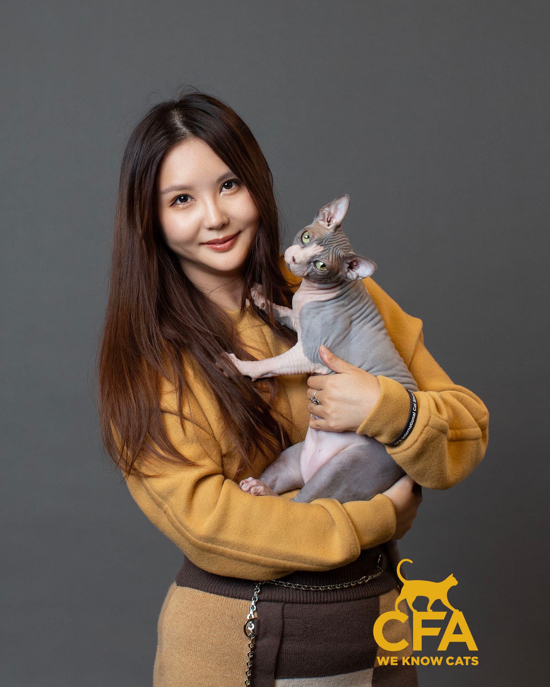 Hero Cat